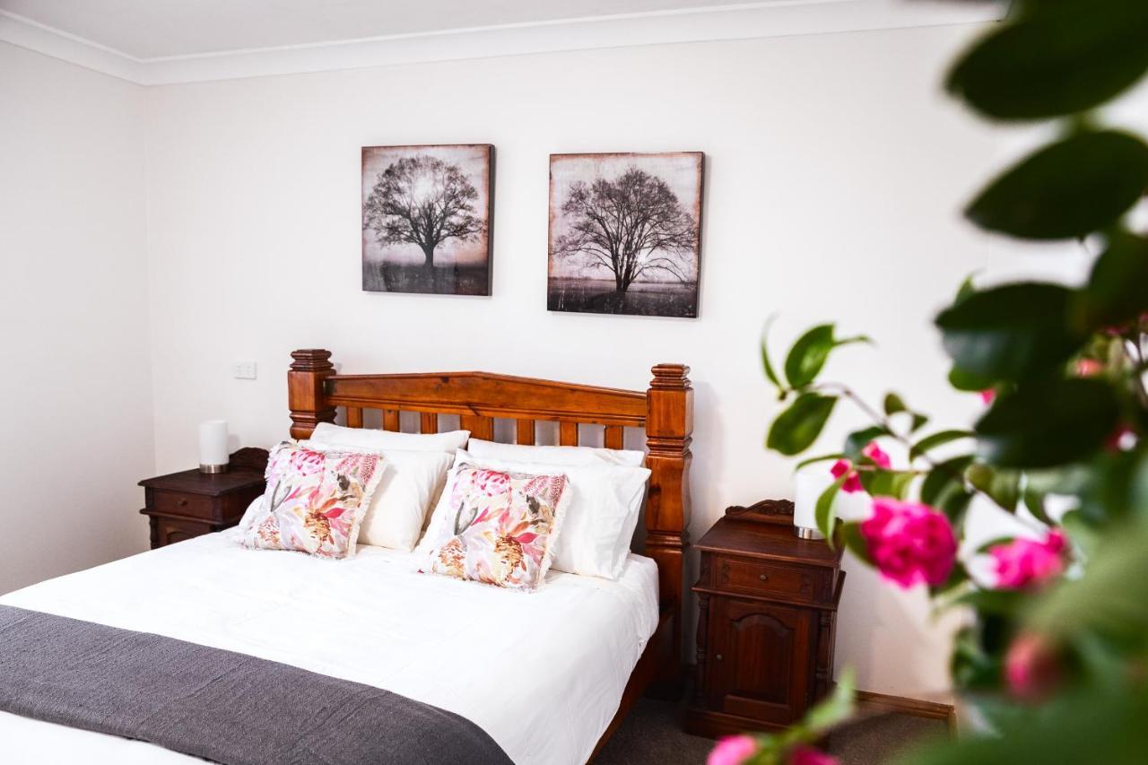 Bed and Breakfast Snooty Fox Bed &Breakfast Hazelbrook Exterior foto